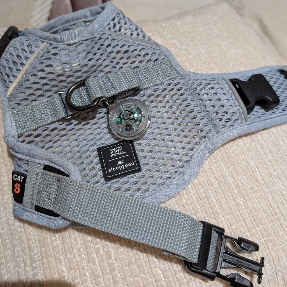 Martingale Walking Harness